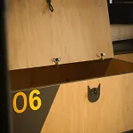 Cats بورتو
