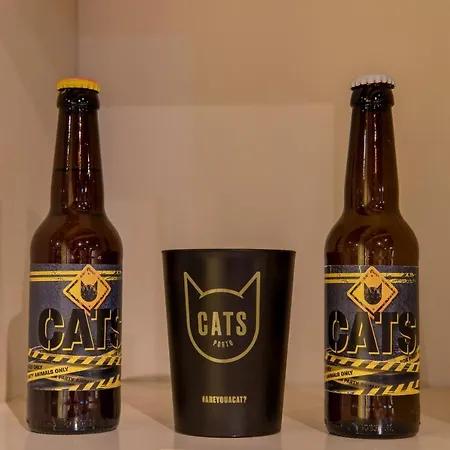 Cats بيت شباب بورتو