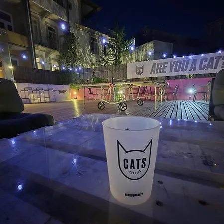 Cats * ポルト