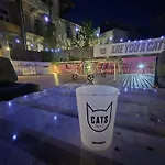 Cats * 포르투