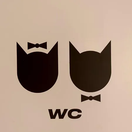 Cats Ostello