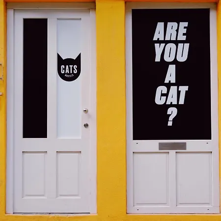 Cats