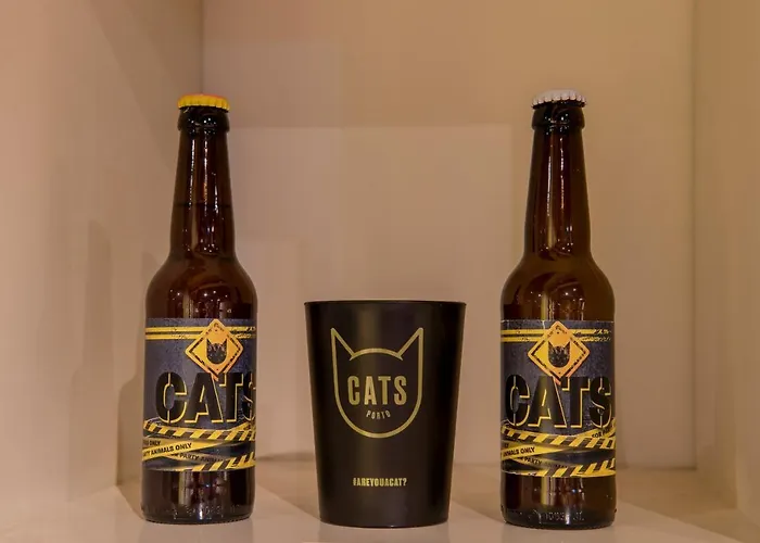 Cats Hostel Porto