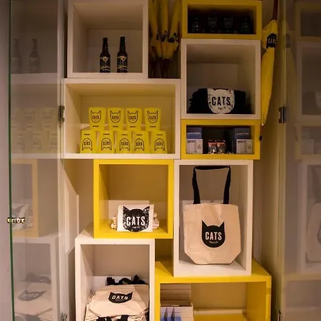 بيت شباب Cats بورتو