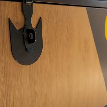 Cats بيت شباب *