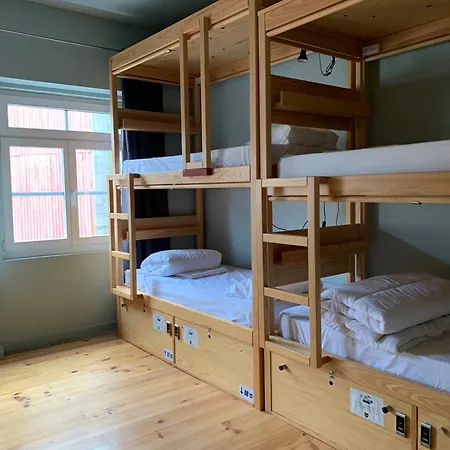 Cats Hostel *