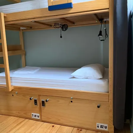 Cats Hostel *
