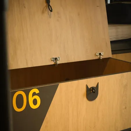 Cats Oporto