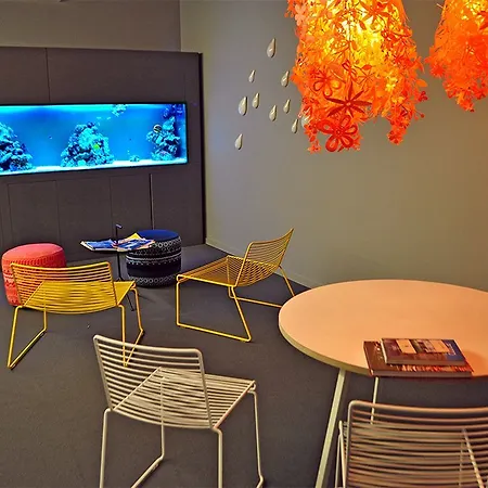 بيت شباب Cats *