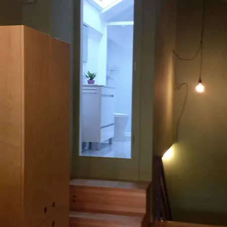 Cats بيت شباب بورتو