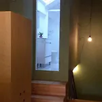 Cats Hostel Porto