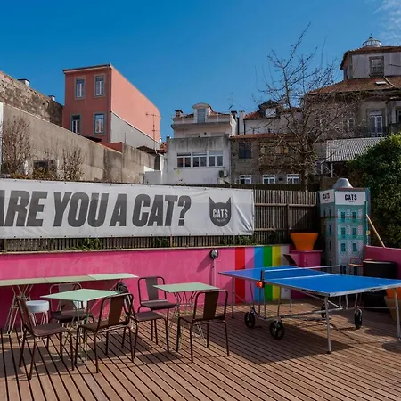 Auberge de jeunesse Cats *