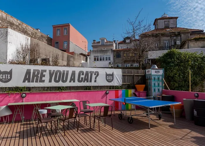 Auberge de jeunesse Cats *