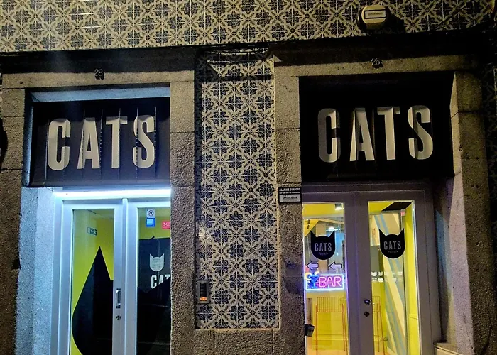 Cats Auberge de jeunesse *