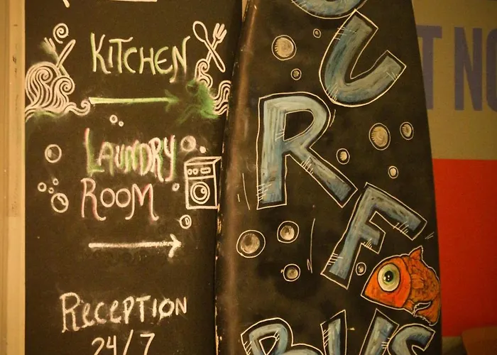 Auberge de jeunesse Cats *