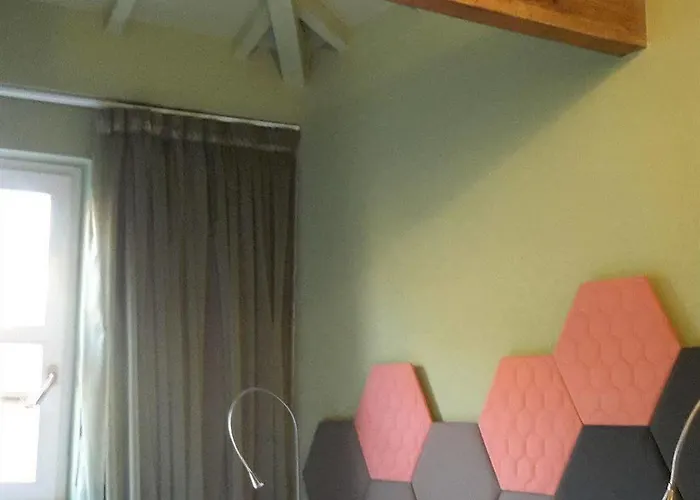 Cats Auberge de jeunesse Oporto