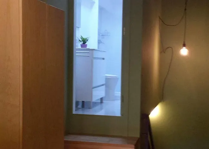 Cats Auberge de jeunesse Oporto